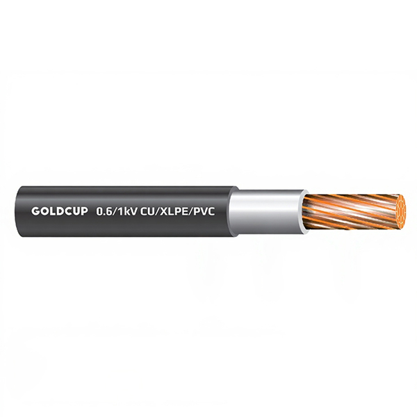 Cáp điện 1 lõi không có giáp bảo vệ 0.6/1kV - Cu/XLPE/PVC